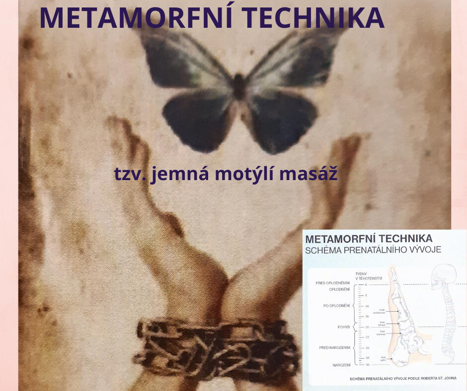 Metamorfní technika